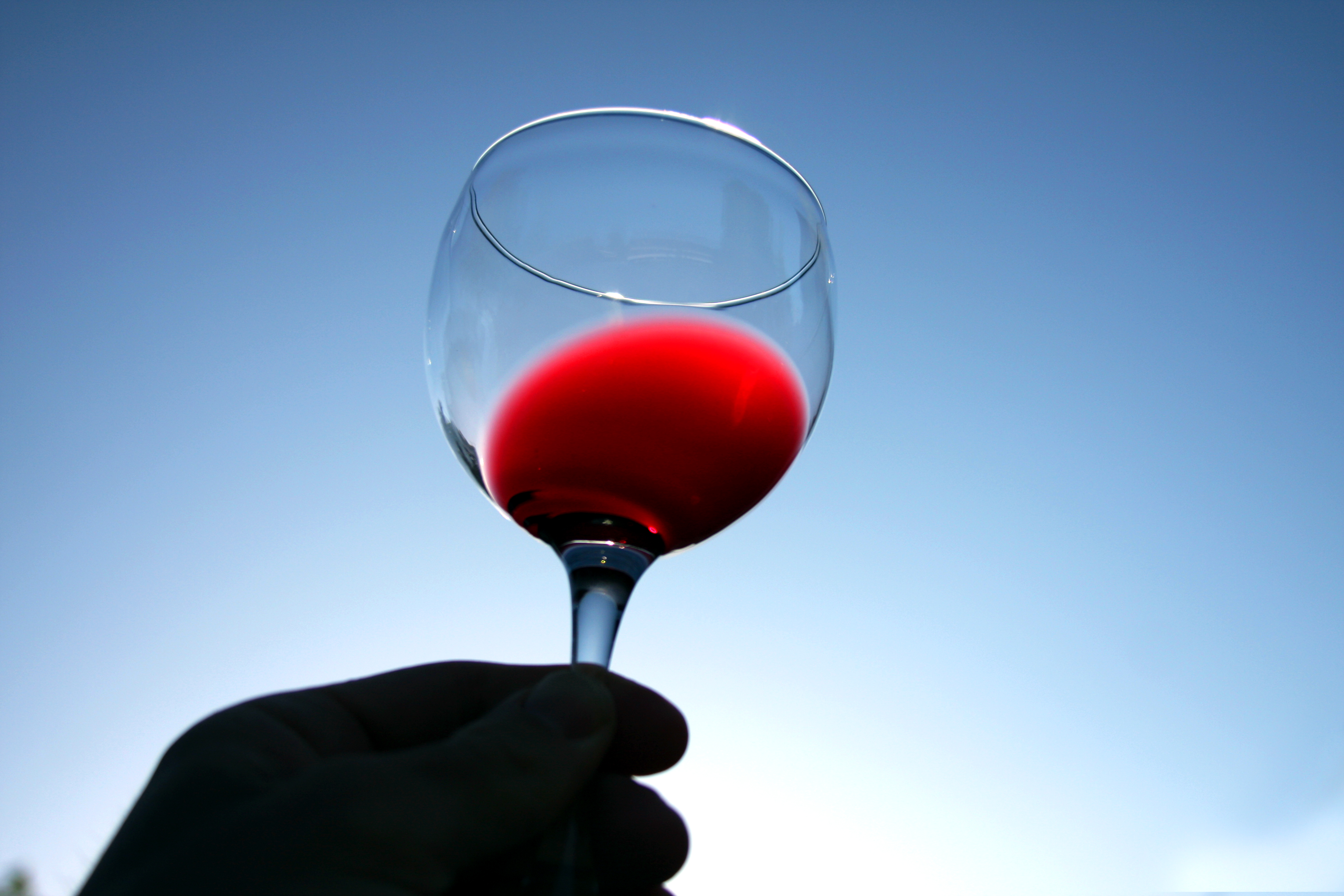 Бокал вина каждый день. Красное вино. Кровь и вино. Бокал вина на фоне винограда.